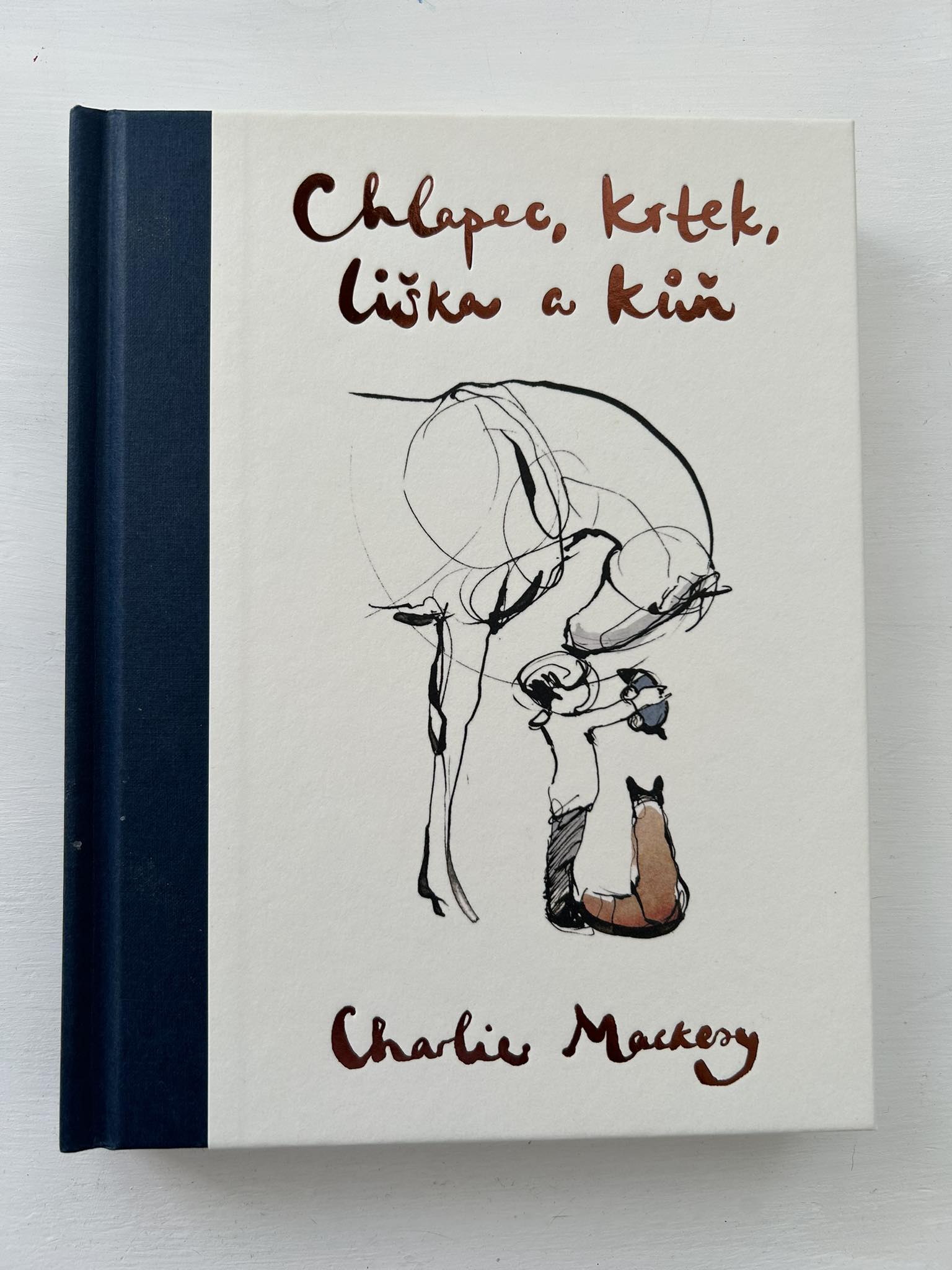 Chlapec, krtek, liška a kůň