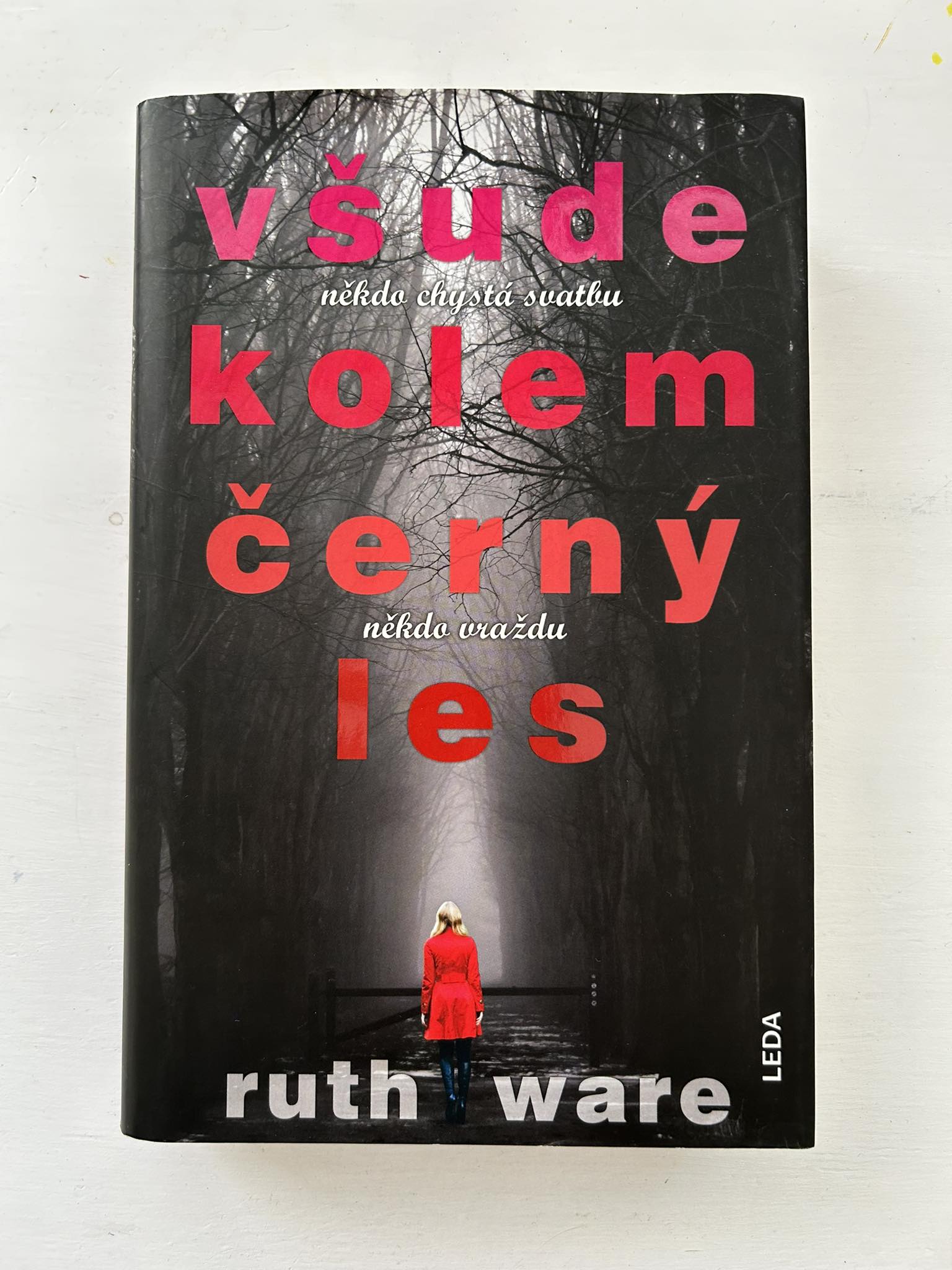 Všude kolem černý les