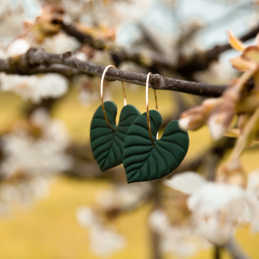 Náušnice na kroužku - Filodendrony