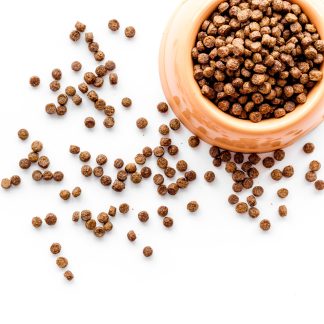 Plastová miska pro psy