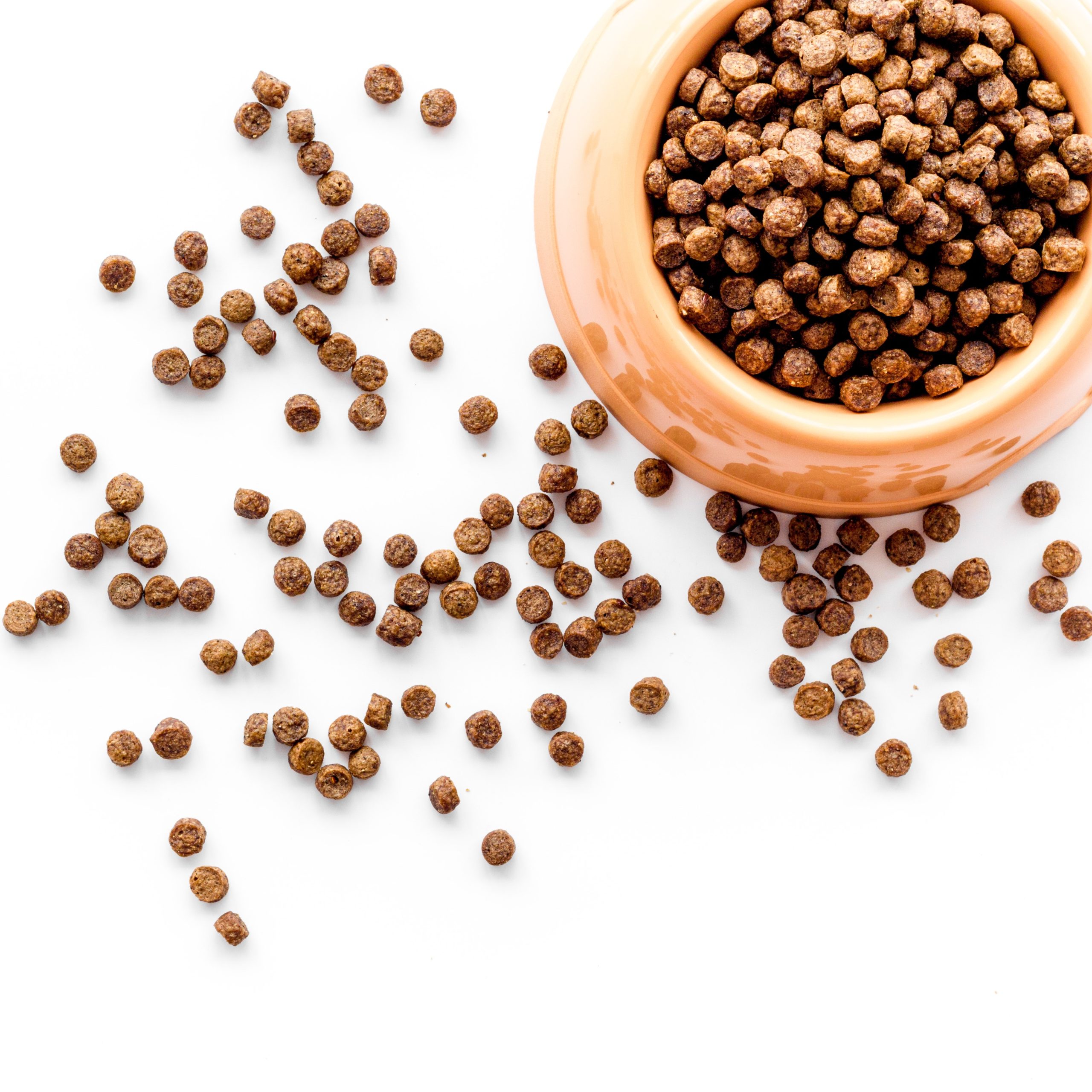 Plastová miska pro psy