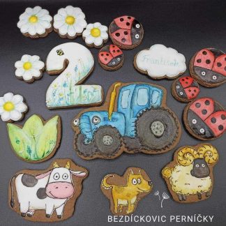 Narozeninové perníčky