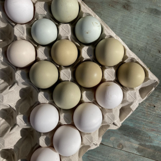 Zelená vejce s nižším obsahem cholesterolu - 10 ks