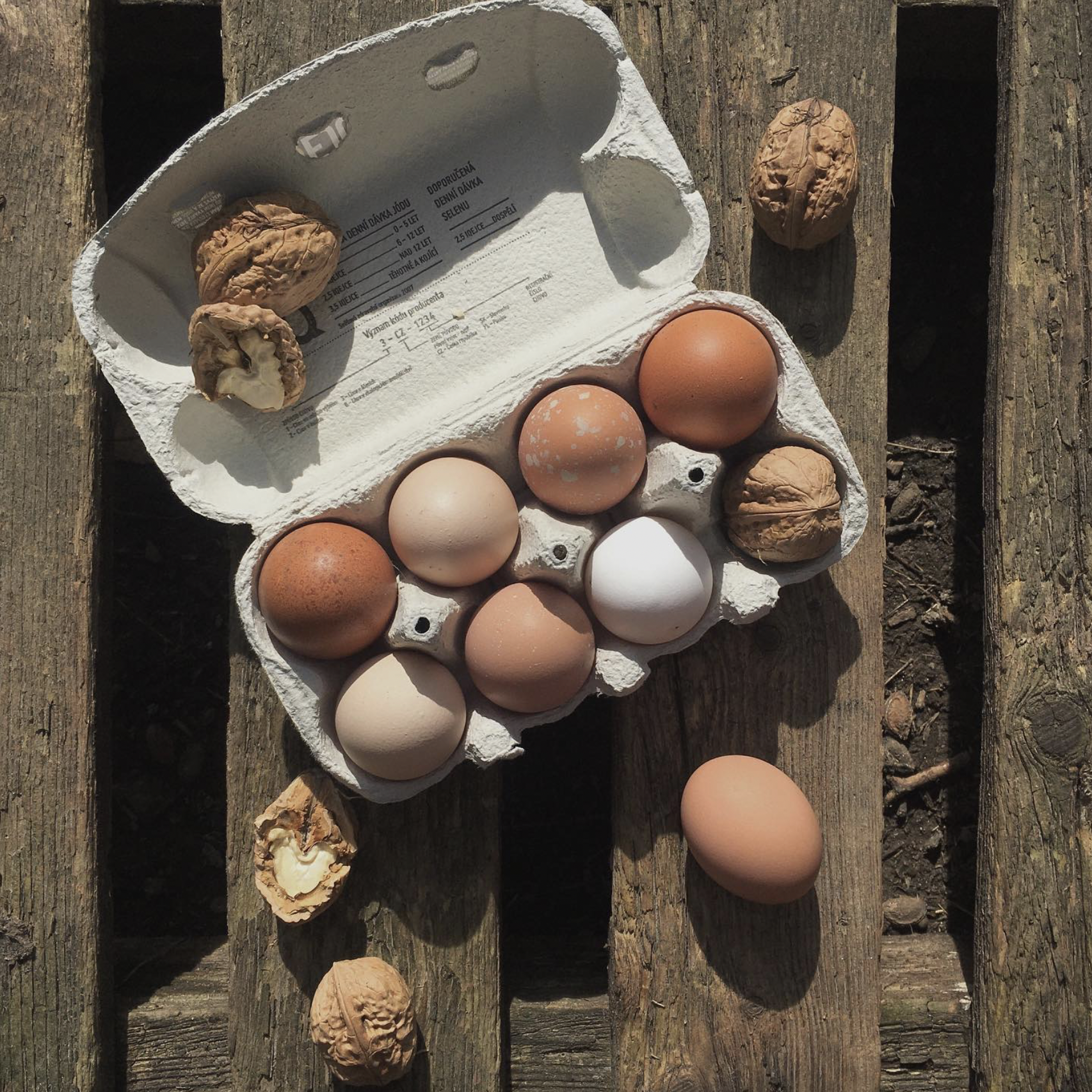 Čerstvá domácí vejce - 10ks - Obrázek 2