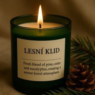 Svíčka Lesní klid